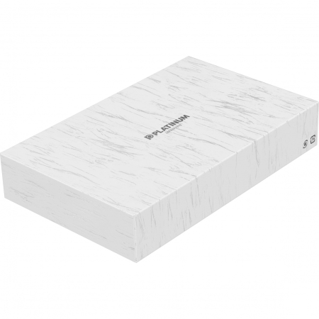 Stilou 18k Nib Izumo Yakumonuri Ginsen Yakumo GT 0.5 M, Platinum [9]