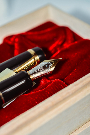 Stilou Custom 845 Urushi Black, Pilot [12]