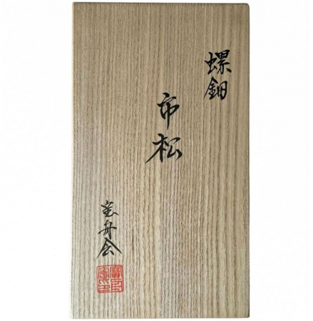 Stilou Souveran M1000 Raden Black Infinity, Pelikan [1]