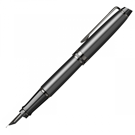 Stilou Expert Metalic Black Laquer TT, Waterman [6]