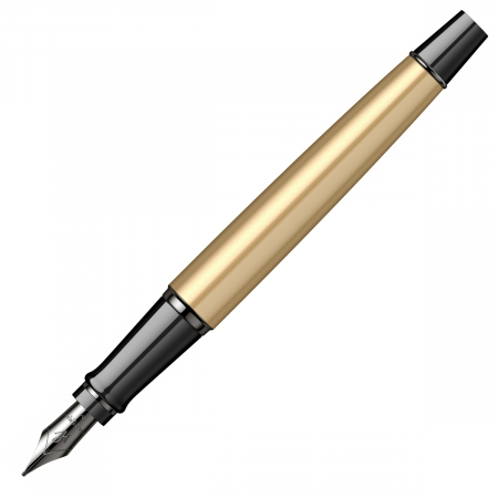 Stilou Waterman Expert Metalic Gold Laquer TT [3]