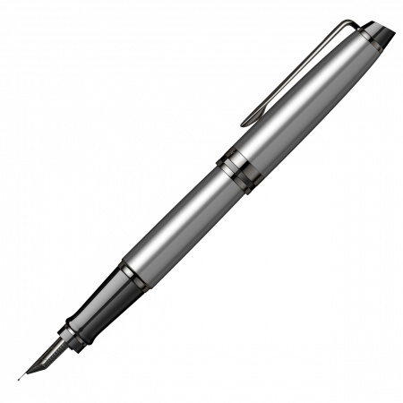Stilou Expert Metalic Silver Laquer TT, Waterman [7]