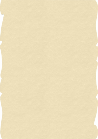 Top Coli Hartie A4  Traditional Papers, 5 foi 90 g/mp Parchment, Herbin [1]