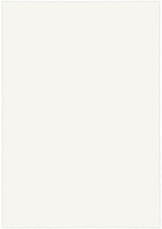 Top Coli Hartie A4 Traditional Papers 10 foi 125 g/mp, Velin Coton, Herbin [1]