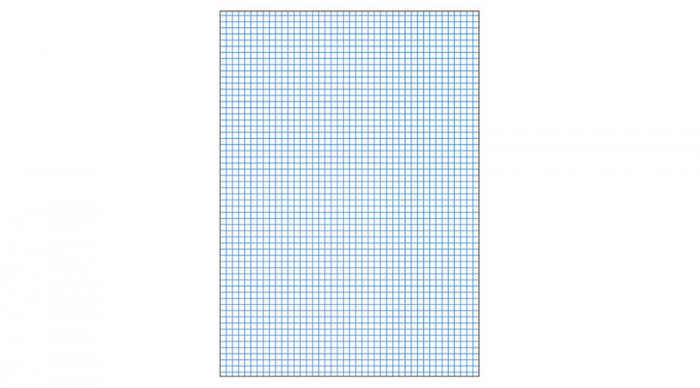 Blocnotes MARUMAN High Quality Report Pad P164, A5, 40 file, patratele [2]