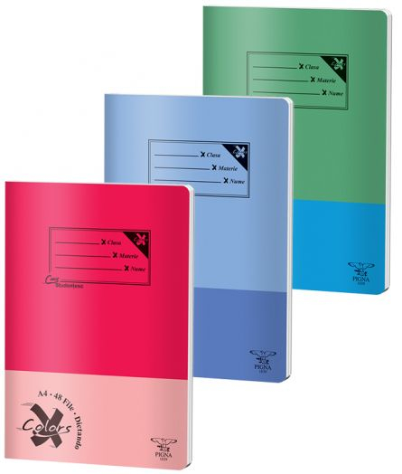 Notebook Basic Pigna A4 48 sheets, line grid [2]