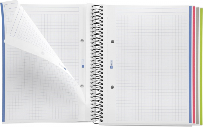 MIQUELRIUS Wild Dino, A5 140 sheets, square grid [2]
