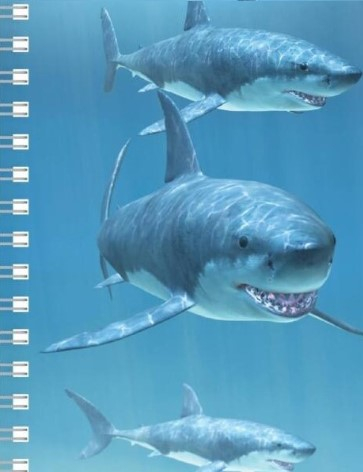 Carnet notite Moovie Studio 422, cu coperta 3D: rechini in miscare [1]