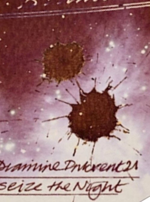 Diamine Inkvent Red Edition Standard 50 ML - Seize The Night [3]