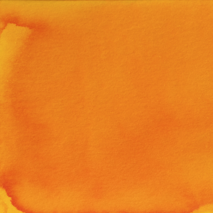 Pennonia Dungó 60 ml - cerneala la calimara [2]