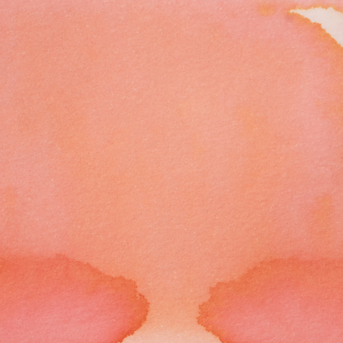 Pennonia Rági 60 ml - cerneala la calimara [2]