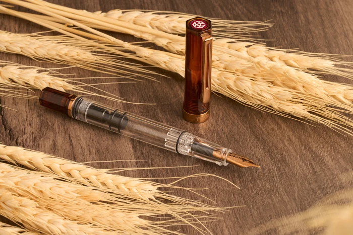 Stilou TWSBI ECO Rootbeer with Bronze M [6]
