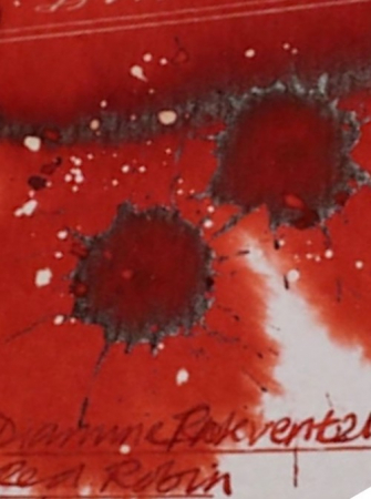 Diamine Inkvent Red Edition Standard 50 ML - Red Robin [2]