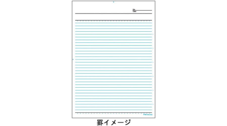 Blocnotes MARUMAN High Quality Report Pad P160, A5, 40 sheet, line grid [3]