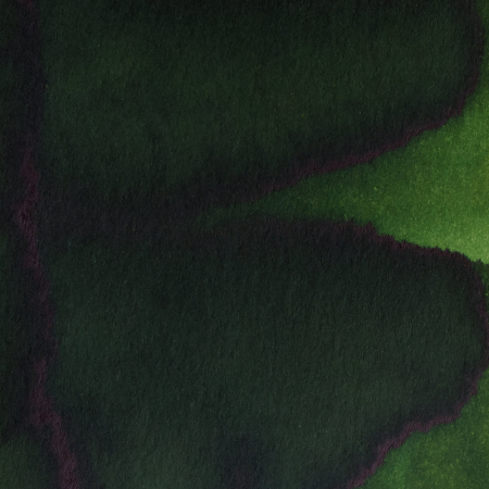 Pennonia Fenyves 60 ml - cerneala la calimara [1]