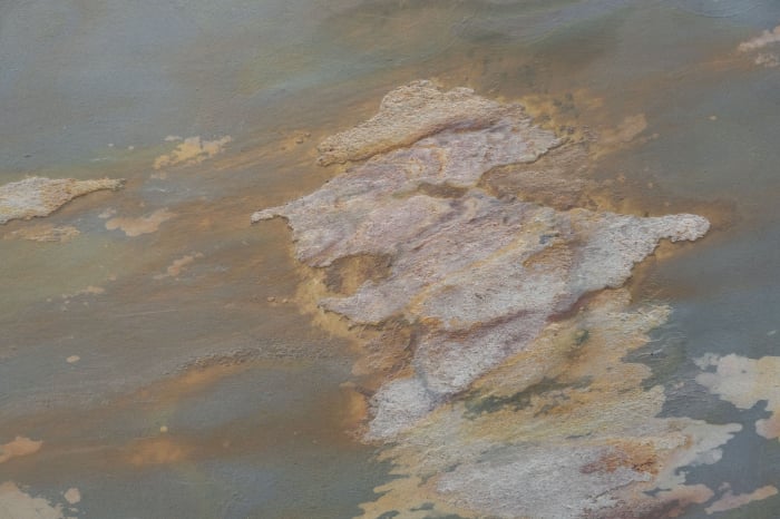 Autumn Rustic 61x122 cm (0,7442 mp) [5]