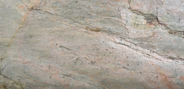 Burning Forest 61x122 cm (0,7442 mp) [11]