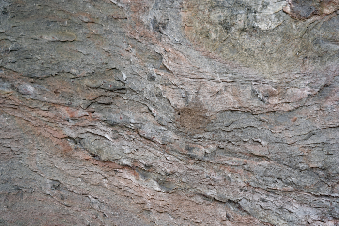 Burning Forest 61x122 cm (0,7442 mp) [9]