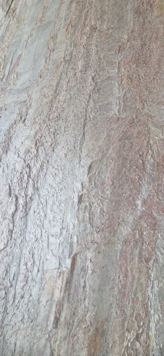 Forest Fire  61x122 cm (0,7442 mp) [8]