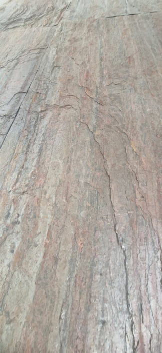 Forest Fire  61x122 cm (0,7442 mp) [2]