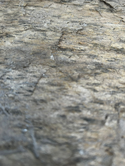 Burning Forest Natur 30x60 cm (0,9 mp/cutie) [3]