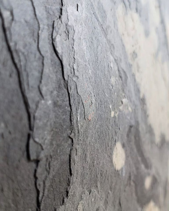 Autumn Rustic 61x122 cm (0,7442 mp) [16]