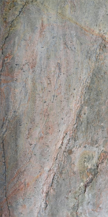 Mostra Burning Forest A6 [6]