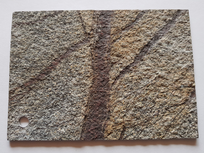 Mostra Rainforest Brown A6 [8]