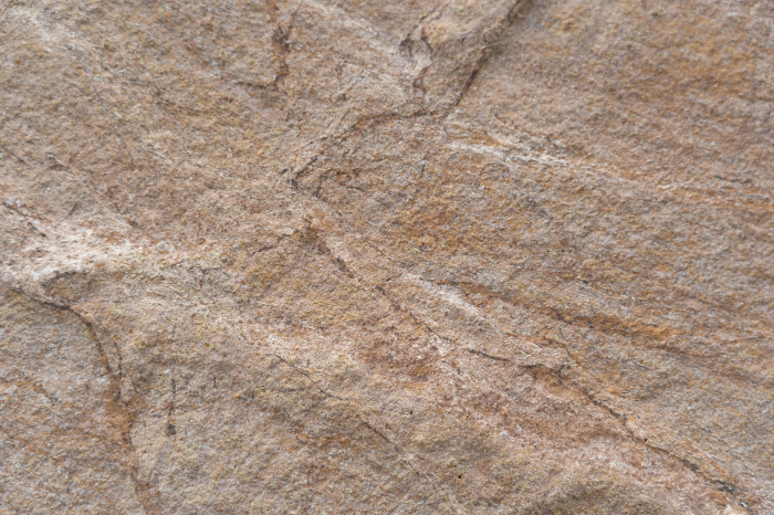 Mostra Rainforest Brown A6 [2]