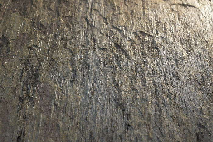 Golden 61x122 cm (0,7442 mp) [5]