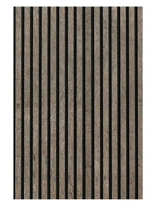 Panou Silver Galaxy 41 x 244 cm (1 MP) [2]