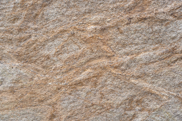 Rainforest Brown 61x122 cm (0,7442 mp) [8]