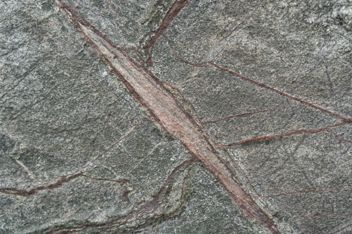 Rainforest Green 61x122 cm (0,7442 mp) [11]