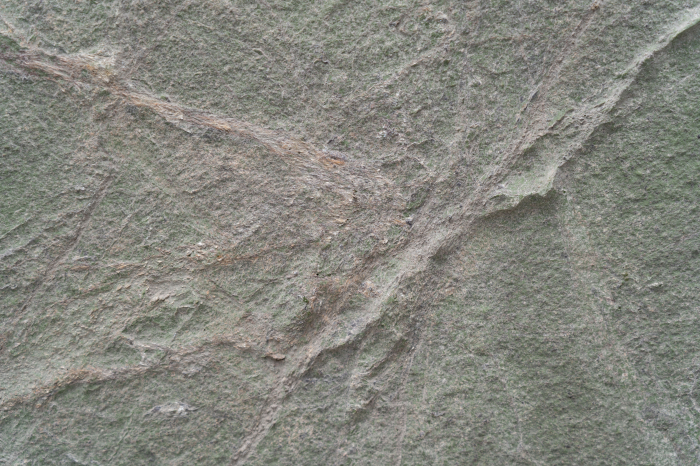 Rainforest Green 61x122 cm (0,7442 mp) [8]