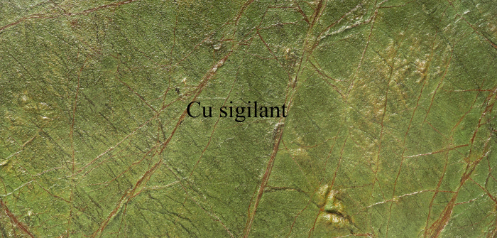 Rainforest Green 61x122 cm (0,7442 mp) [14]