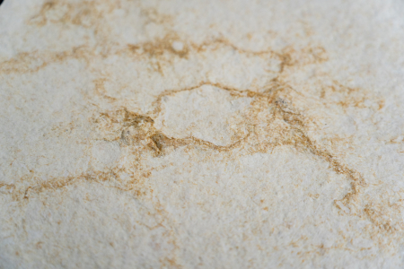 Atlanta White 61x122 cm (0,7442 mp) [2]