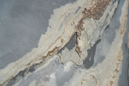 Autumn Rustic 122x305 cm (3,721 mp) [1]