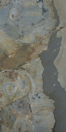 Autumn Rustic 61x122 cm (0,7442 mp) [11]