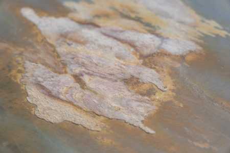 Autumn Rustic 61x122 cm (0,7442 mp) [6]