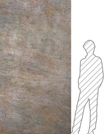 Burning Forest 122x244 cm (2,9768 mp) [4]