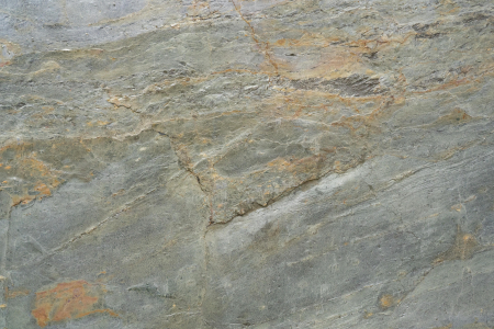 Burning Forest 122x305 cm (3,721 mp) [4]