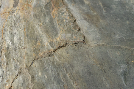 Burning Forest 122x305 cm (3,721 mp) [1]