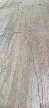 Forest Fire  61x122 cm (0,7442 mp) [1]