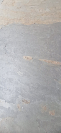 California Gold 61x122 cm (0,7442 mp) [4]