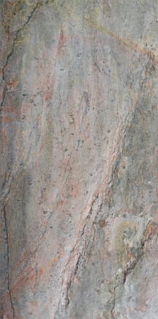 Mostra Burning Forest A6 [5]