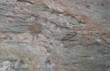 Mostre - Mostra Burning Forest A6