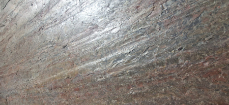 Mostre - Mostra Forest Fire A6