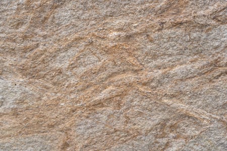 Mostre - Mostra Rainforest Brown A6