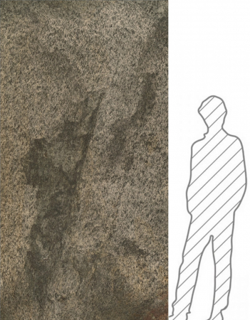 Produse - Golden 122x244 cm (2,9768 mp)