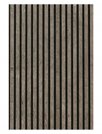 Panou Silver Galaxy 41 x 244 cm (1 MP) [1]